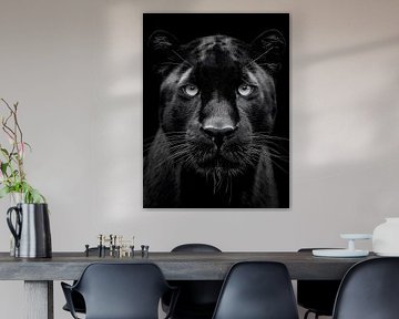 Schwarzer Panther – Intensiver Blick in monochromer Eleganz