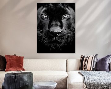 Schwarzer Panther – Intensiver Blick in monochromer Eleganz
