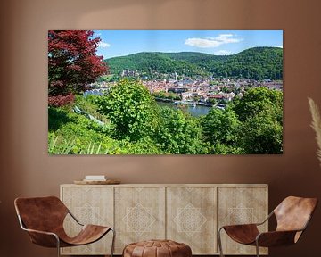 Uitzicht op de oude stad van Heidelberg vanaf de Philosophenweg van SusaZoom