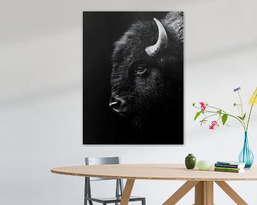 Bison – Kraftvolles Seitenprofil in Schwarzweiß