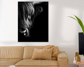 Highland cattle - Expressive detail portrait in black and white