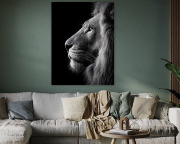 Lion - Majestic black and white animal portrait
