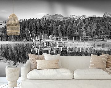 Stazmeer in het Engadin in Zwitserland in zwart-wit