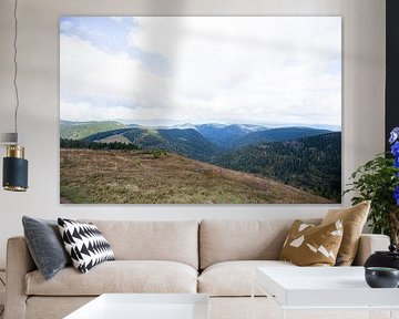 Vue du Feldberg dans la Forêt Noire