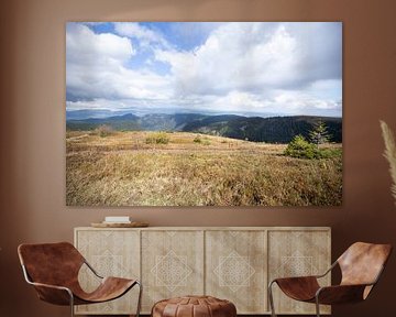 Vue du Feldberg dans la Forêt Noire