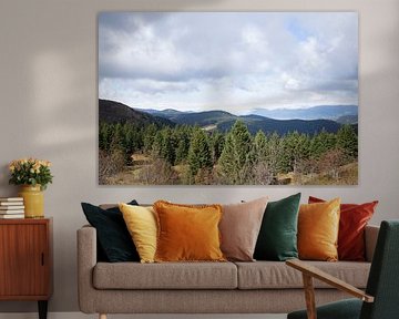 Vue du Feldberg dans la Forêt Noire