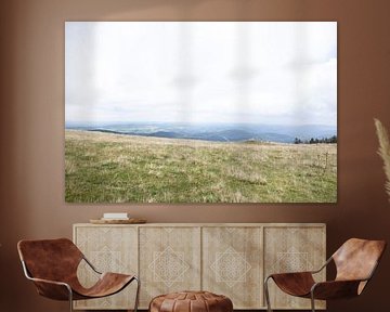 Vue du Feldberg dans la Forêt Noire