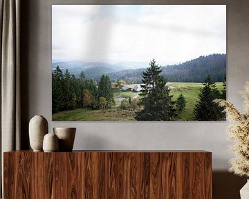 Vue du Feldberg dans la Forêt Noire