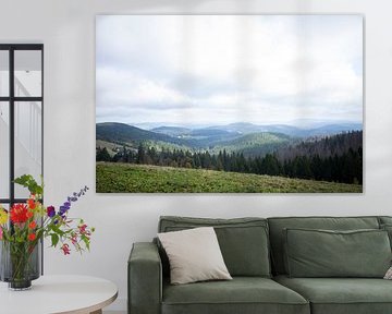 Vue du Feldberg dans la Forêt Noire