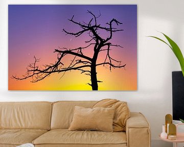 Silhouette sur Martijn Schruijer