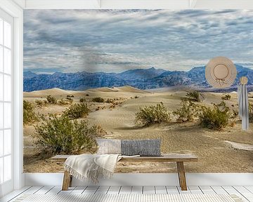 De prachtige woestijn van Death Valley in Californië