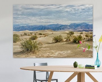 Le magnifique désert de la Vallée de la Mort en Californie sur Patricia Hofmeester