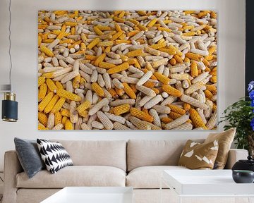 mountain of newly harvested corn cobs, China