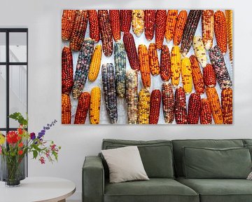 Coloured corn cobs at the large flower market in Kunming, China