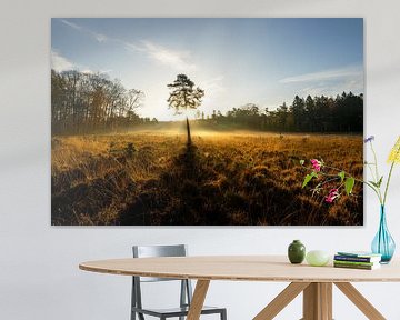 Ohligser Heide, Solingen, Bergisches Land, Allemagne sur Alexander Ludwig