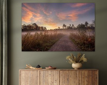 Ohligser Heide, Solingen, Bergisches Land, Allemagne sur Alexander Ludwig