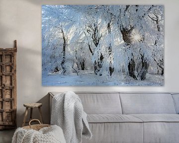 Sonne im verschneiten Winterwald