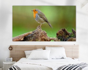 Aperçu de la chambre