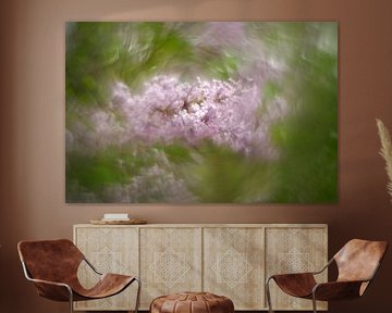 Lilac blossoms by Steffi Hommel