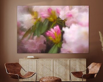 Rhododendron flowers by Steffi Hommel