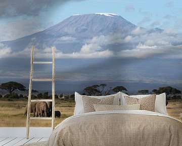 Kilimanjaro Elefanten von Roland Smeets
