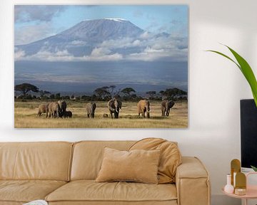 Éléphants du Kilimandjaro sur Roland Smeets