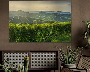 Weinberge in den Hügeln der Langhe und Barbaresco-Turm von Stefano Orazzini