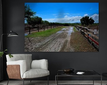 Landschaftliche Straußenfarm in Curacao von Karel Frielink