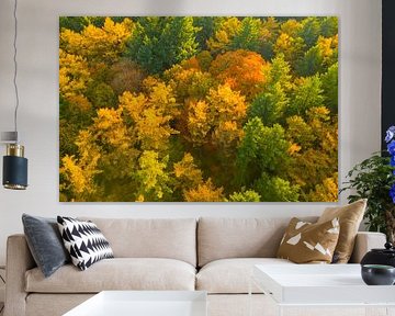 Herbstwald mit bunten Blättern von oben gesehen