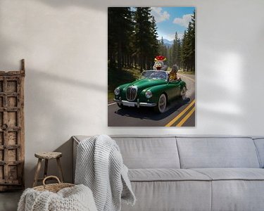 Aperçu de la chambre