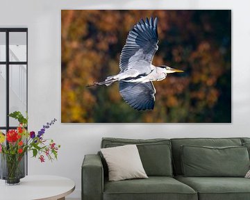 Graureiher im Herbst von Karin Jähne