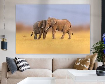 Elefantenfreundschaft von Chris Stenger