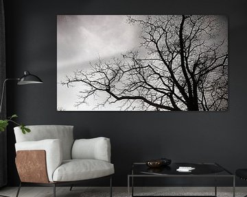 Tree in black and white von Ria De Jonge