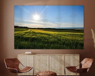 Tardinghen, Frankreich von Jarne Buttiens