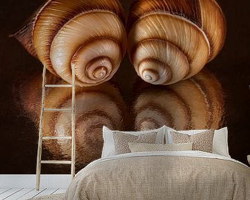 Lost in the eyes of the reflection: two spiral shells looking at their own reflections by Marjolijn van den Berg