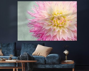 Liefde voor dahlia's van Cindy Mulder