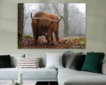 schottischer Highlander von Marcel Jagt