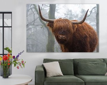 Schottischer Highlander von Marcel Jagt