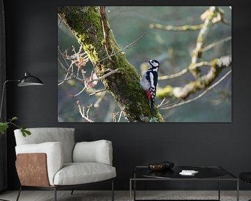 Buntspecht von Marcel Jagt