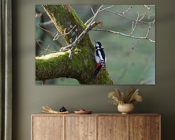 Buntspecht von Marcel Jagt