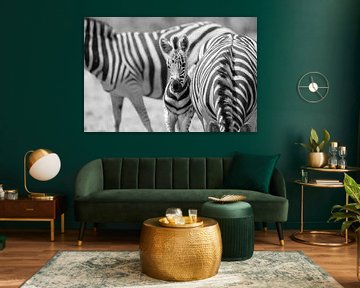 Zebra's in Schwarz und Weiß: Rhythmus der Savanne