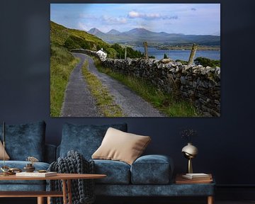 Connemara, Irland - II von Jarne Buttiens