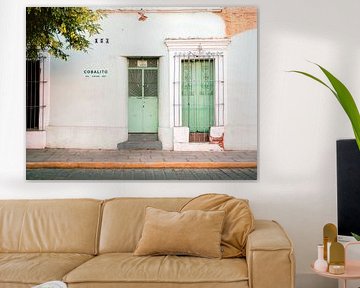 Verblasstes Grün Oaxaca von Raisa Zwart Reisefotografiedrucke