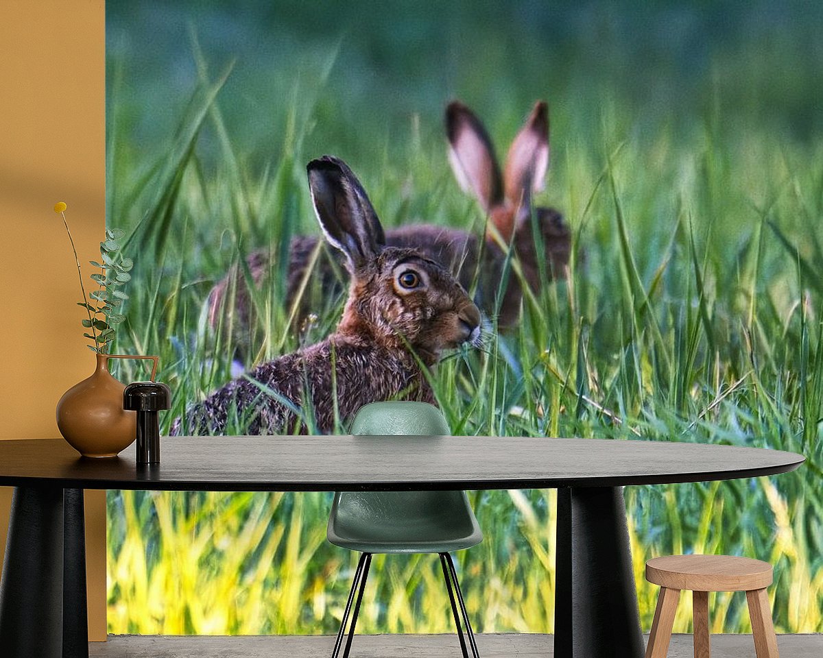 Raumvorschau