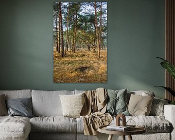 Skurriler Baum mit gewundenen Ästen