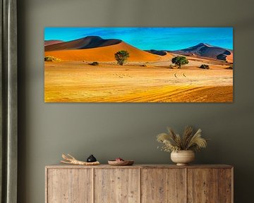 Le long des dunes rouges à Sossusvlei, Namibie