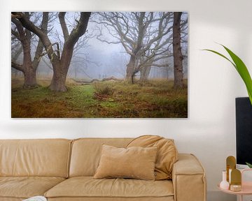 Wandelaars in de mist