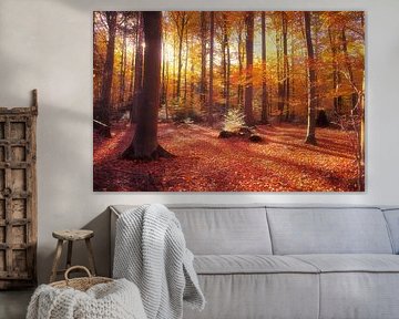 Sunrise in the Scandinavian forest by FRESH Fine Art