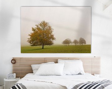 Herbstliche Bäume im Nebel beim Hofgut Dauenberg bei Eigeltingen im Hegau von BlattArt - Christine Horn