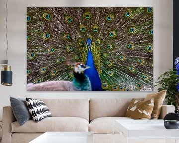 Auftrumpfen und weitergeben von M.J. Lagerwerf